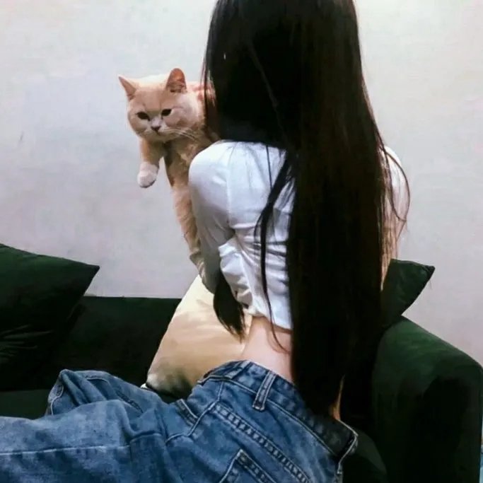 理查德的东西
